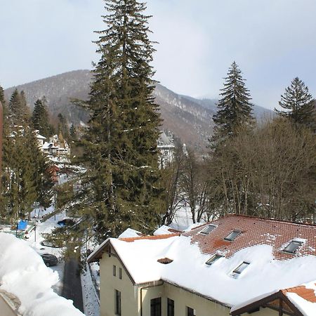 Central Park View Sinaia Apartment Exterior photo