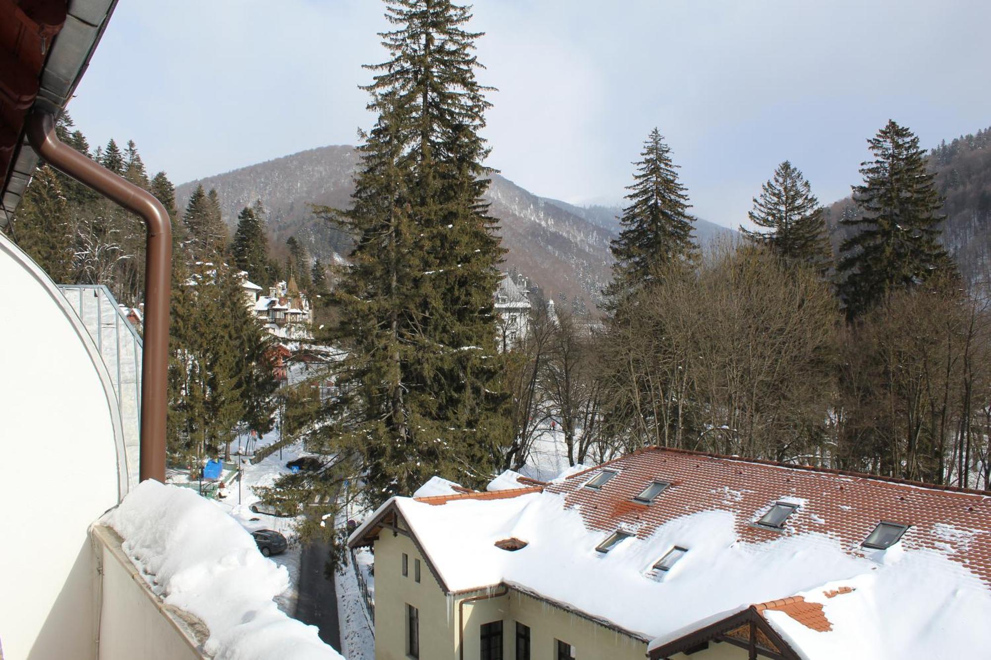 Central Park View Sinaia Apartment Exterior photo