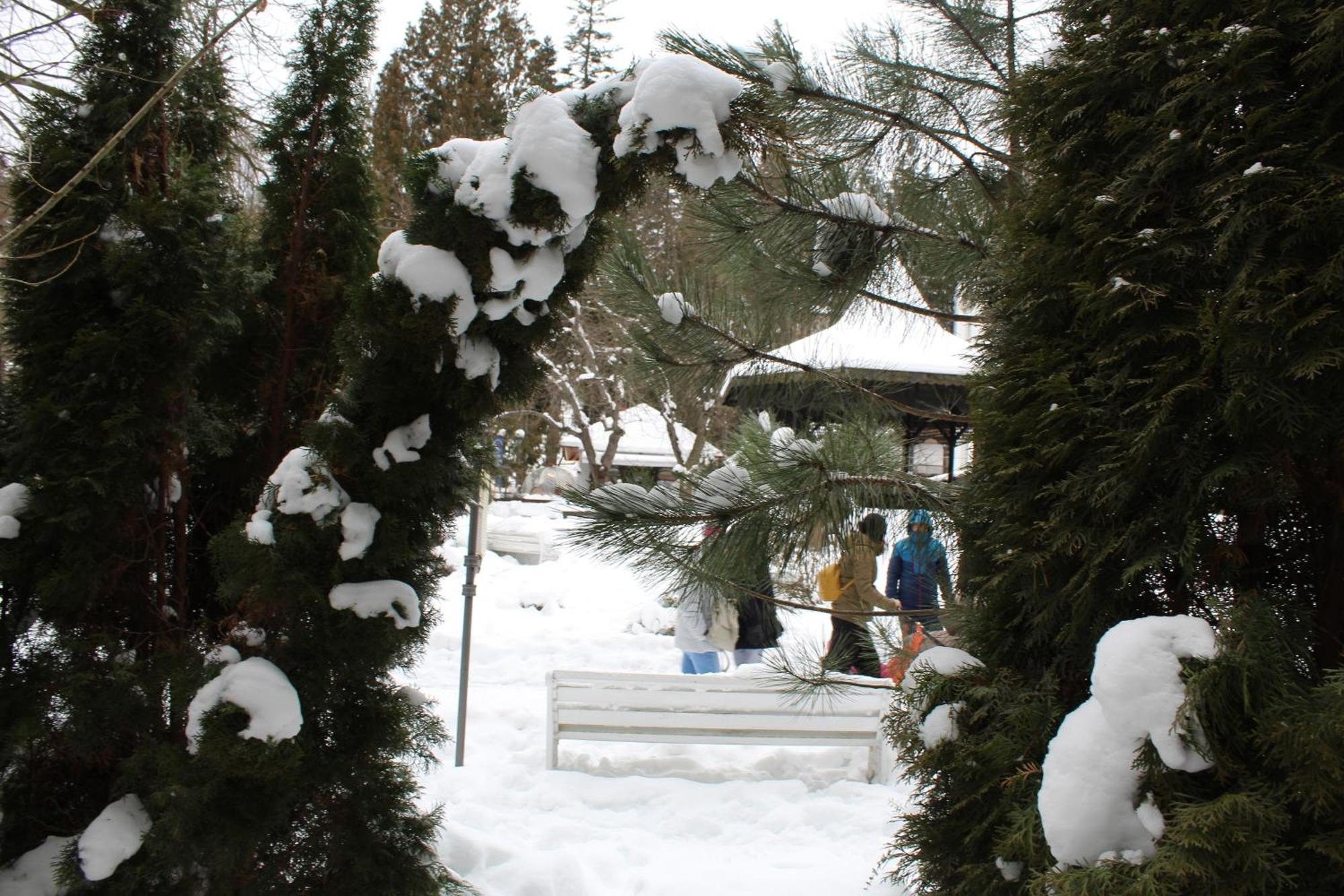 Central Park View Sinaia Apartment Exterior photo