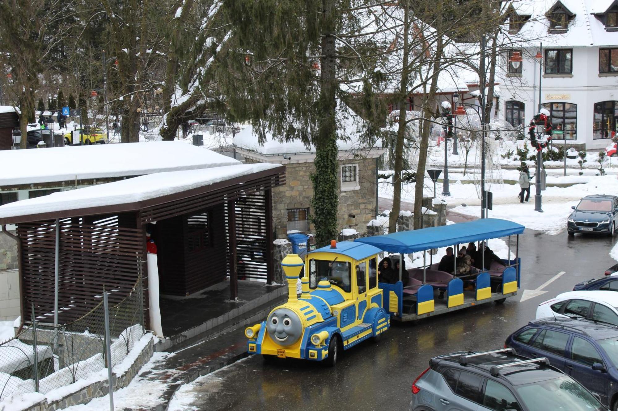 Central Park View Sinaia Exterior photo