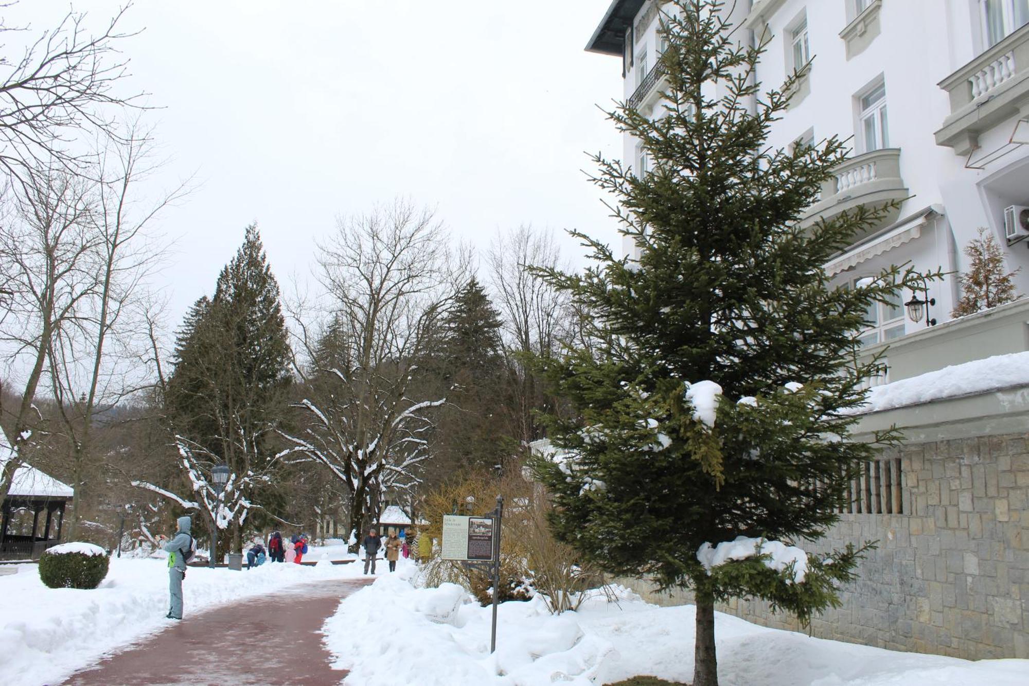 Central Park View Sinaia Apartment Exterior photo