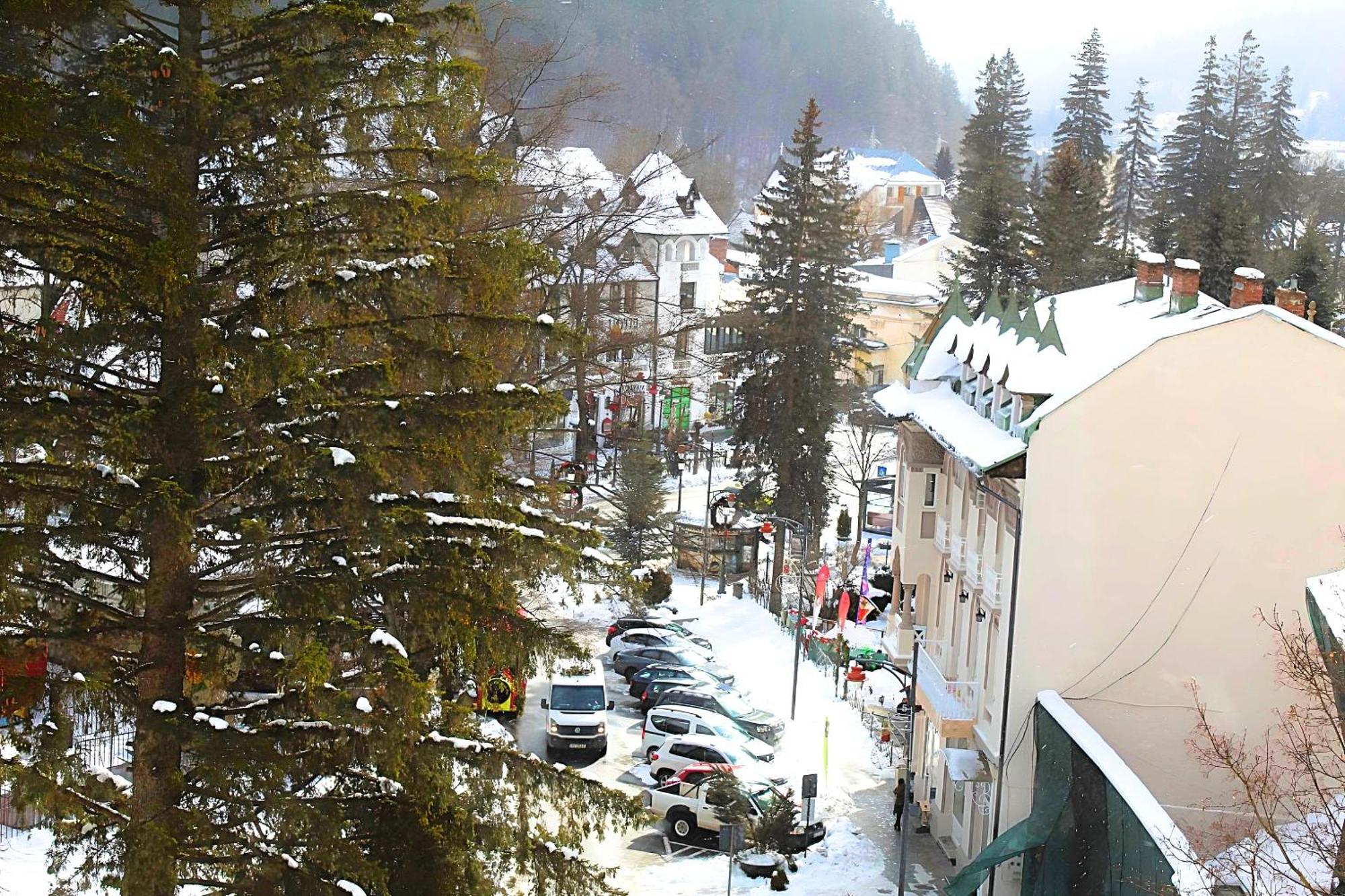 Central Park View Sinaia Apartment Exterior photo